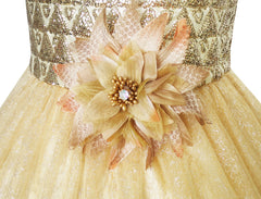 Flower Girls Dress Lace Pearl Dimensional Flowers Pageant Wedding Tulle Size 3-14 Years