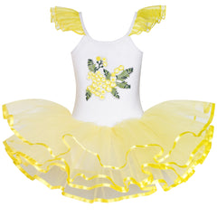 Girls Dress Cute Tutu Dancing Heart Party Size 2-8 Years