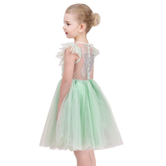 Girls Dress Floral Ruffle Tulle Skirt Flutter Flare Sleeve Size 4-10 Years